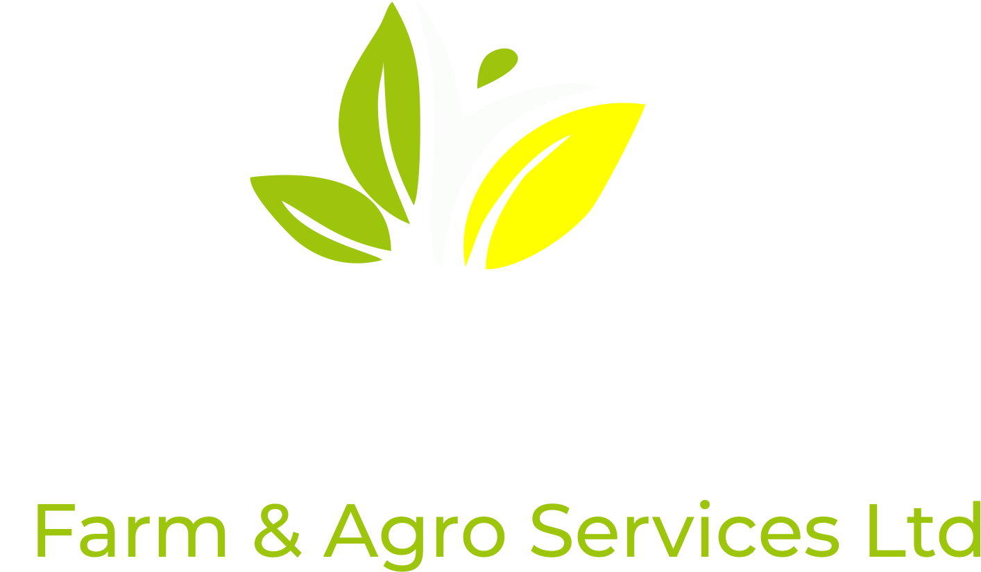 fresh-table-eggs-large-oasis-farms-agro-services-ltd