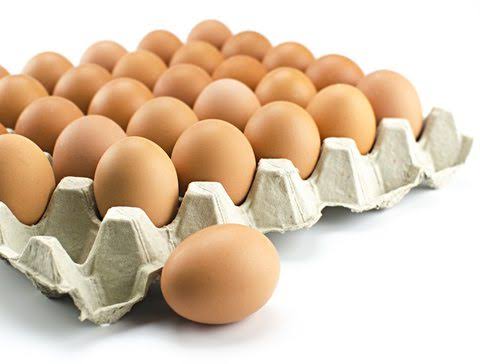 Fresh Table Eggs (Large)